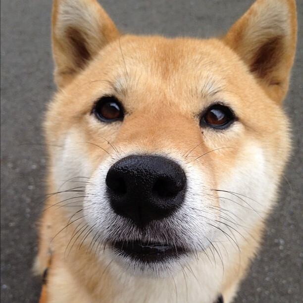 开云网页-中超联赛竞争格局日趋激烈，中超联赛制度的变化