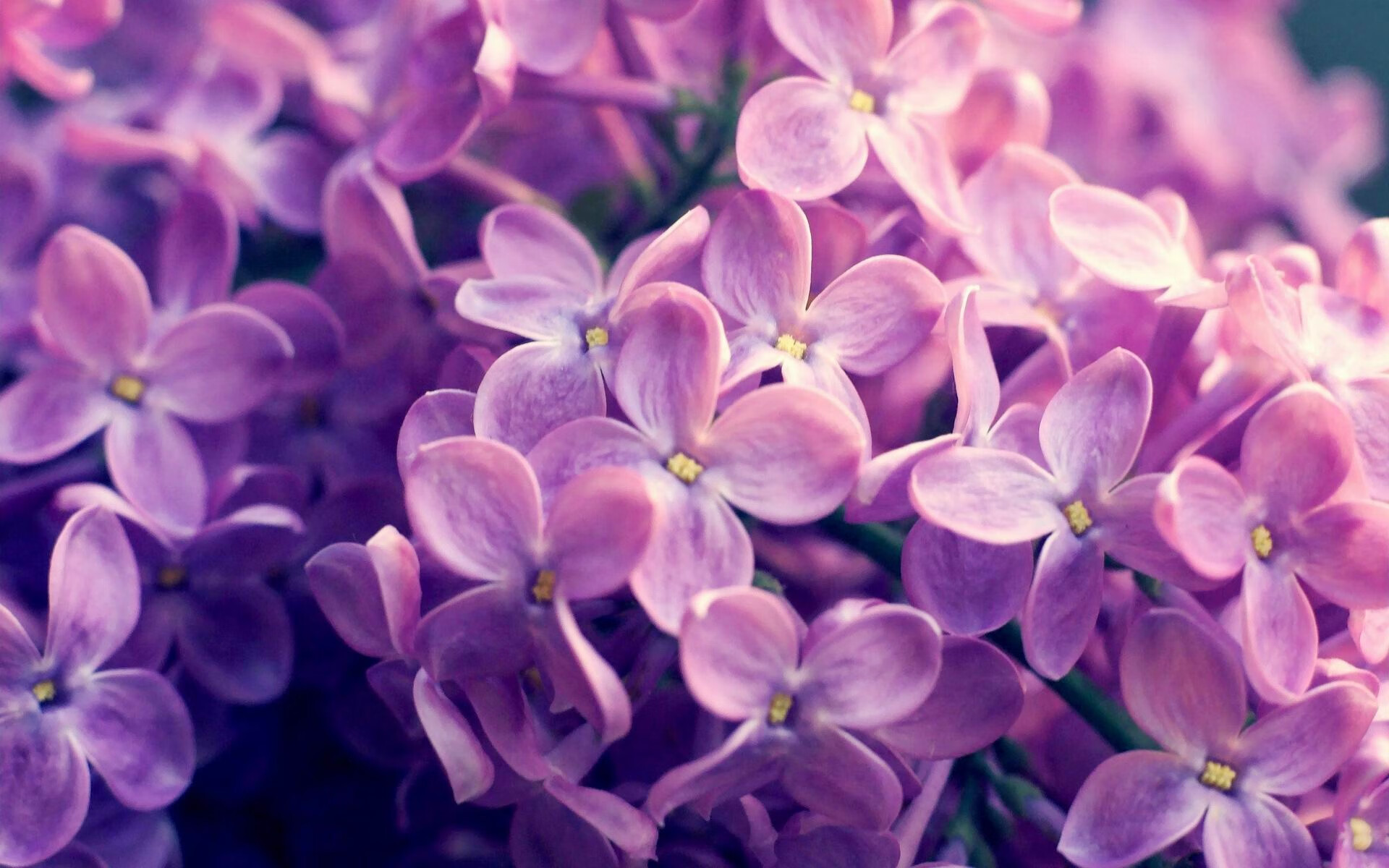 搏击擂台首次尝试女子双人对抗表演，女子搏击节目
