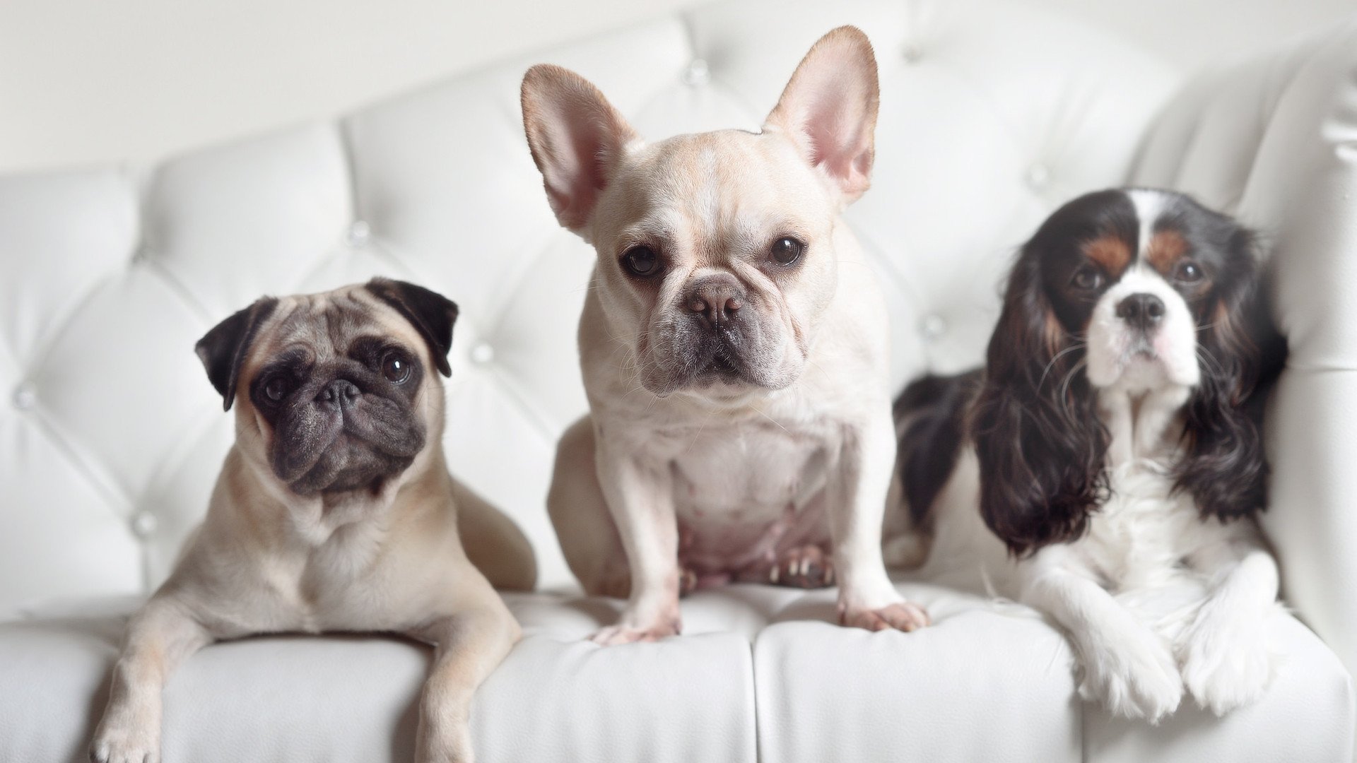 搏击擂台首次尝试女子双人对抗表演，女子搏击节目